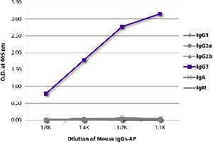 Mouse IgG3 isotype control (Alkaline Phosphatase (AP))