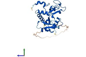 AlphaFold protein structure predicition of Mouse Recombinant PcgF3 Protein, UniprotID Q8BTQ0
