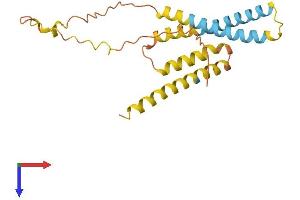 AlphaFold protein structure predicition of Mouse Recombinant Timm23 Protein, UniprotID Q9WTQ8