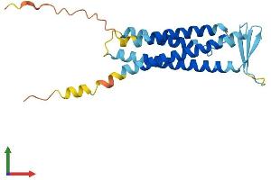 AlphaFold protein structure predicition of Mouse Recombinant Sspn Protein, UniprotID Q62147
