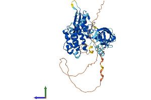 AlphaFold protein structure predicition of Mouse Recombinant Txk Protein, UniprotID P42682
