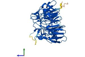 AlphaFold protein structure predicition of Mouse Recombinant Klhdc8b Protein, UniprotID Q9D2D9