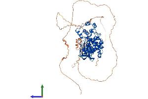 AlphaFold protein structure predicition of Mouse Recombinant Clk3 Protein, UniprotID O35492