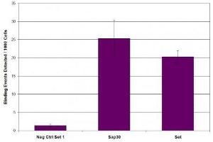 SIN3A antibody (pAb) tested by ChIP.