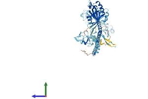 AlphaFold protein structure predicition of Mouse Recombinant Trim23 Protein, UniprotID Q8BGX0