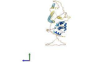 AlphaFold protein structure predicition of Mouse Recombinant Bsdc1 Protein, UniprotID Q80Y55