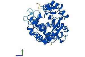AlphaFold protein structure predicition of Human Recombinant SULT2A1 Protein, UniprotID Q06520