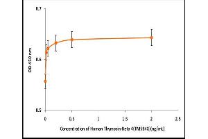 Activity Assay (AcA) image for Thymosin beta-4 (TMSB4X) (Active) protein (ABIN5509515)
