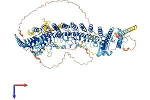 AlphaFold protein structure predicition of Human Recombinant ANKMY1 Protein, UniprotID Q9P2S6