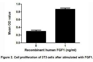 FGF1 (Fibroblast growth factor 1) is a member of FGF family, which plays an important role in the regulation of cell survival, cell division, angiogenesis, cell differentiation and cell migration. (FGF1 Protein (AA 1-155) (His tag,GST tag))