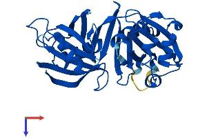 AlphaFold protein structure predicition of Human Recombinant PBLD Protein, UniprotID P30039