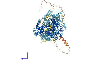 AlphaFold protein structure predicition of Human Recombinant GPAT2 Protein, UniprotID Q6NUI2