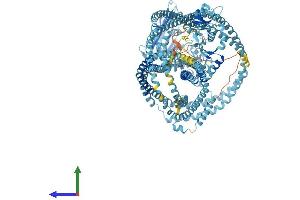 AlphaFold protein structure predicition of Human Recombinant SMC4 Protein, UniprotID Q9NTJ3