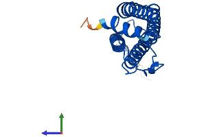 AlphaFold protein structure predicition of Human Recombinant FTH1 Protein, UniprotID P02794
