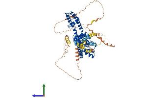 AlphaFold protein structure predicition of Human Recombinant KCNA5 Protein, UniprotID P22460