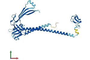 AlphaFold protein structure predicition of Human Recombinant MUL1 Protein, UniprotID Q969V5