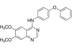 Chemical structure of Src I1 , a Src kinase inhibitor.
