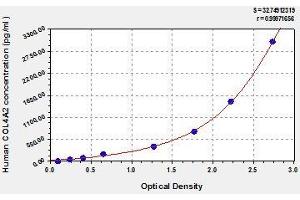 Typical standard curve (COL4a2 Kit ELISA)