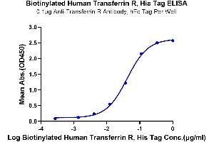 Immobilized Anti-Transferrin R Antibody at 1 μg/mL (100 μL/well) on the plate.