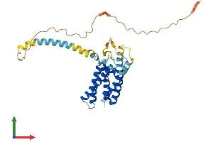 AlphaFold protein structure predicition of Human Recombinant YIF1B Protein, UniprotID Q5BJH7