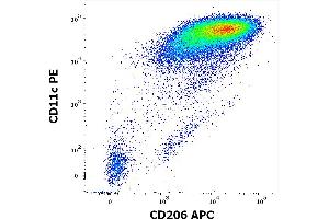 Flow cytometry multicolor surface staining pattern of human stimulated (GM-CSF + IL-4) peripheral blood mononuclear cells stained using anti-human CD206 (15-2) APC antibody (10 μL reagent per milion cells in 100 μL of cell suspension) and anti-human CD11c (BU15) PE antibody (20 μL reagent per milion cells in 100 μL of cell suspension).