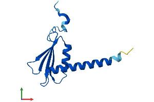 AlphaFold protein structure predicition of Human Recombinant POLR2J2 Protein, UniprotID Q9GZM3