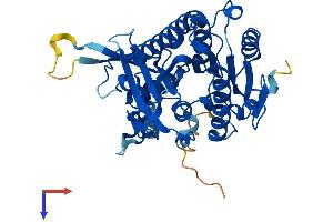 AlphaFold protein structure predicition of Human Recombinant PAFAH2 Protein, UniprotID Q99487