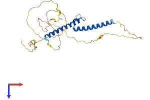 AlphaFold protein structure predicition of Human Recombinant OLIG3 Protein, UniprotID Q7RTU3