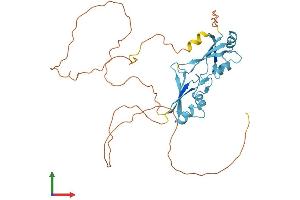 AlphaFold protein structure predicition of Human Recombinant HNRNPH3 Protein, UniprotID P31942
