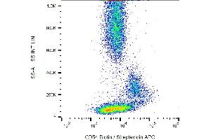 Flow cytometry analysis of CD54 in normal human peripheral blood using anti-CD54 (1H4) biotin. (ICAM1 anticorps  (Biotin))