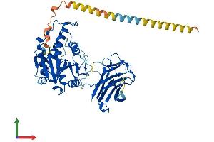 AlphaFold protein structure predicition of Human Recombinant MGAT4C Protein, UniprotID Q9UBM8