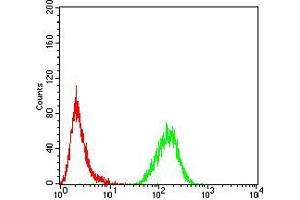 Flow Cytometry (FACS) image for anti-Methyl CpG Binding Protein 2 (MECP2) (AA 7-148) antibody (ABIN5889789) (MECP2 anticorps  (AA 7-148))