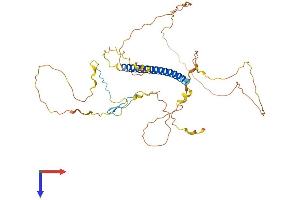 AlphaFold protein structure predicition of Human Recombinant TSC22D4 Protein, UniprotID Q9Y3Q8