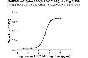 Immobilized SARS-Cov-2 Spike RBD(B.