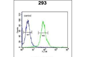 Flow cytometric analysis of 293 cells (right histogram) compared to a negative control cell (left histogram). (RTKN2 anticorps  (N-Term))