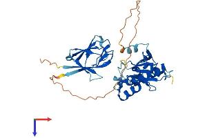 AlphaFold protein structure predicition of Mouse Recombinant Aptx Protein, UniprotID Q7TQC5