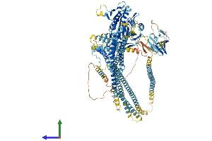 AlphaFold protein structure predicition of Human Recombinant KIF16B Protein, UniprotID Q96L93