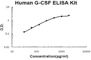 Human G-CSF Accusignal ELISA Kit Human G-CSF AccuSignal ELISA Kit standard curve. (G-CSF Kit ELISA)