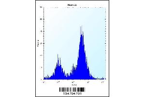 Flow cytometric analysis of Neuro-2a cells (right histogram) compared to a negative control cell (left histogram).