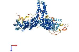 AlphaFold protein structure predicition of Mouse Recombinant Ctnna2 Protein, UniprotID Q61301