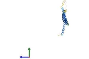 AlphaFold protein structure predicition of Human Recombinant SIKE1 Protein, UniprotID Q9BRV8