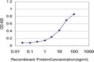 Detection limit for recombinant GST tagged CSNK1G1 is approximately 0. (CSNK1G1 anticorps  (AA 293-393))