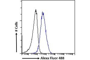 (ABIN5539467) Flow cytometric analysis of paraformaldehyde fixed HeLa cells (blue line), permeabilized with 0.