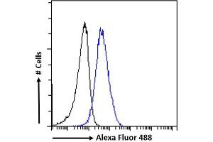 (ABIN5539467) Flow cytometric analysis of paraformaldehyde fixed HeLa cells (blue line), permeabilized with 0. (Aryl Hydrocarbon Receptor anticorps  (Internal Region))