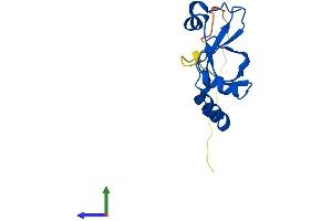 AlphaFold protein structure predicition of Mouse Recombinant Srxn1 Protein, UniprotID Q9D975