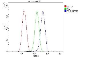Flow Cytometry analysis of U87 cells using anti-CRB1 antibody (ABIN6719658). (CRB1 anticorps)