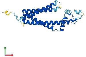 AlphaFold protein structure predicition of Human Recombinant TSPAN13 Protein, UniprotID O95857