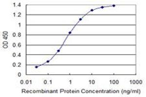 ELISA image for anti-RAB1B, Member RAS Oncogene Family (RAB1B) (AA 91-202) antibody (ABIN599595) (RAB1B anticorps  (AA 91-202))