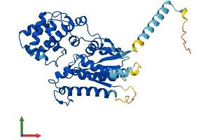 AlphaFold protein structure predicition of Human Recombinant GNA15 Protein, UniprotID P30679