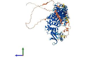 AlphaFold protein structure predicition of Human Recombinant PPP4R3A Protein, UniprotID Q6IN85